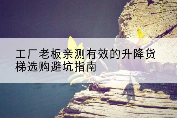 临河升降货梯怎么选-工厂老板亲测有效的升降货梯选购避坑指南