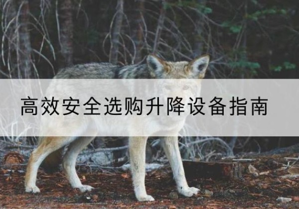 临河升降货梯厂家推荐-*安全选购升降设备指南
