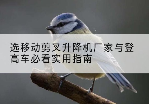 临河电动升降机厂家-选移动剪叉升降机厂家与登高车必看实用指南