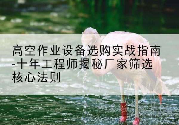 临河剪叉式升降机厂家-高空作业设备选购实战指南-十年工程师揭秘厂家筛选核心法则