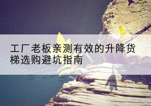 临河升降货梯怎么选-工厂老板亲测有效的升降货梯选购避坑指南
